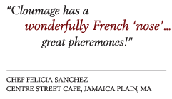 Hannahbells Tiny Hand-Made Cheese by Shy Brothers Farm