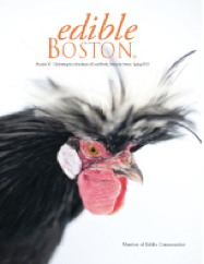 Edible Boston talks about Shy Brothers Farm Cloumage cheese